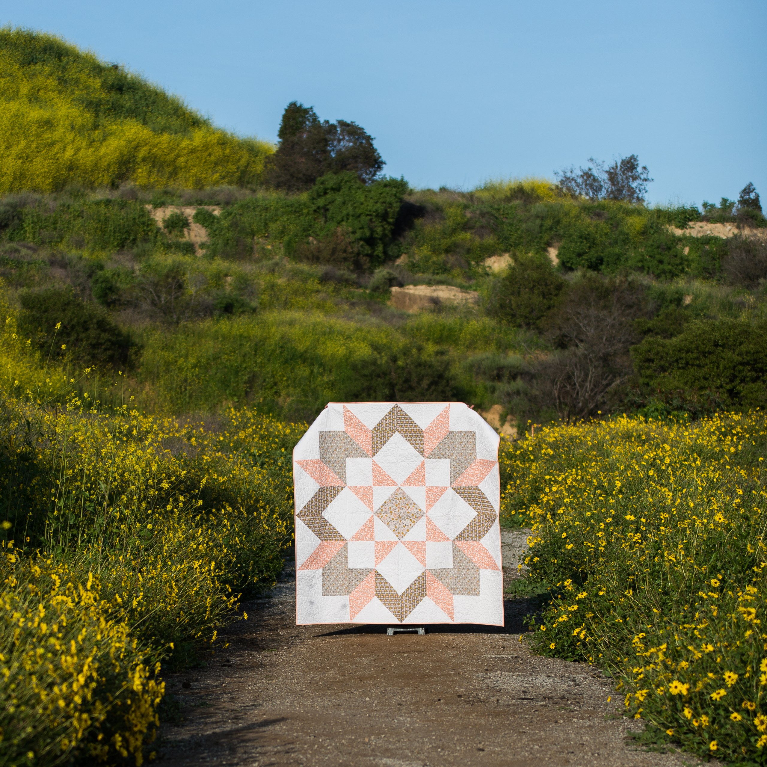 Moda Love Quilt